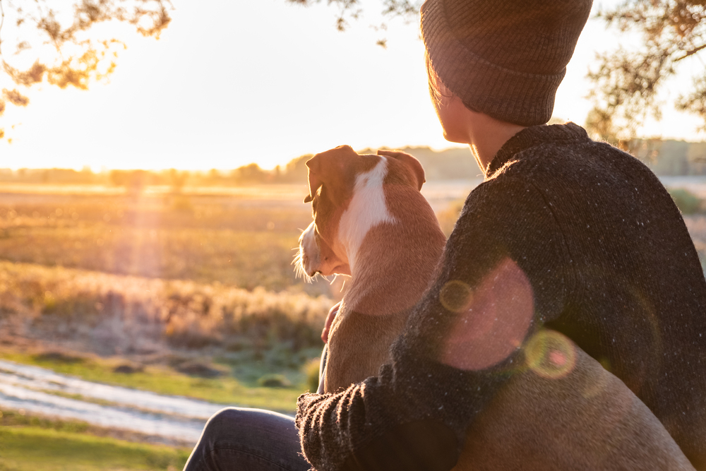 Hugging a dog in beautiful nature at sunset. Woman facing evening sun sits with her pet next to her and enjoys beauty of nature